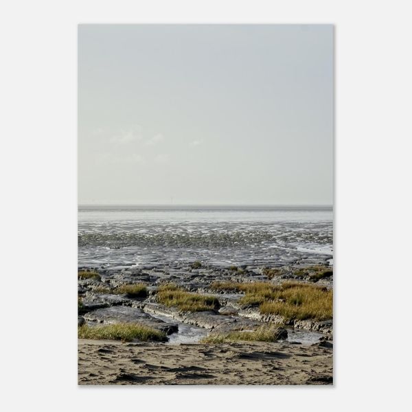 Mudflat and Salt Marsh